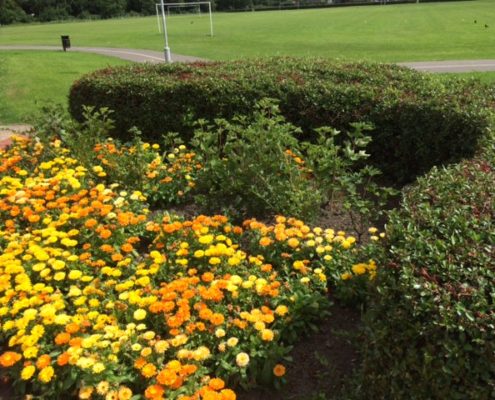 Flower beds at Rosyth Parkgate Institute
